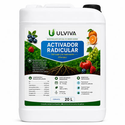 Ulviva Activador Radicular · Cuaje y Maduración