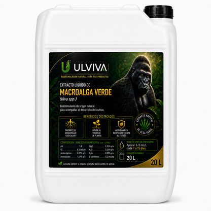 Ulviva — extracto líquido de macroalga verde